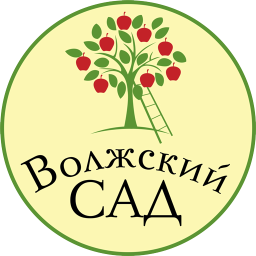 Волжский сад. Базилик Волжский. Шелковица Волжский сад отзывы.