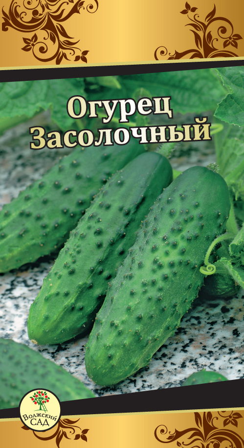 Огурцы засолочные фото