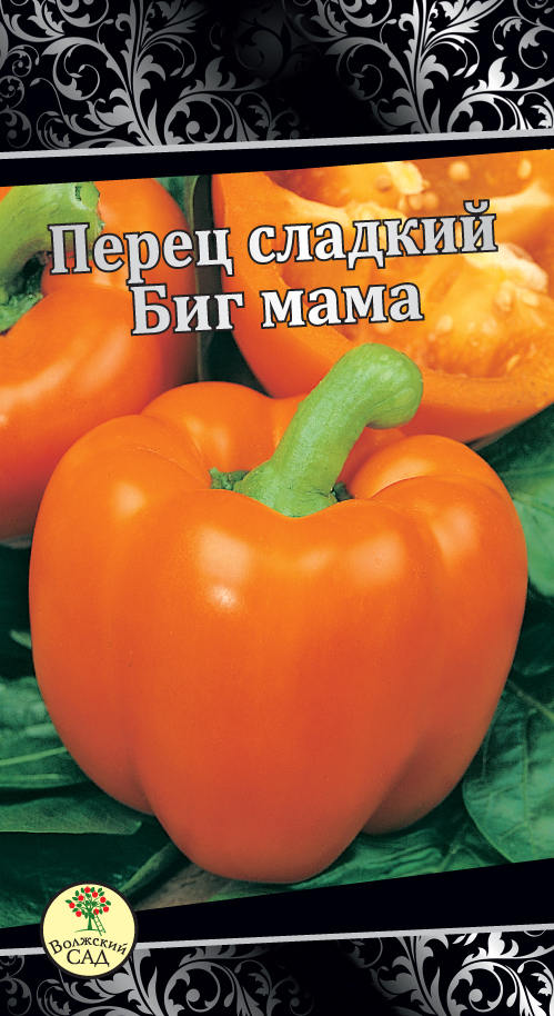 Сорт перца биг мама. Семена перца Биг мама. Перец болгарский Биг мама. Перец Биг мама фото. Перец болгарский Биг мама оранжевый.